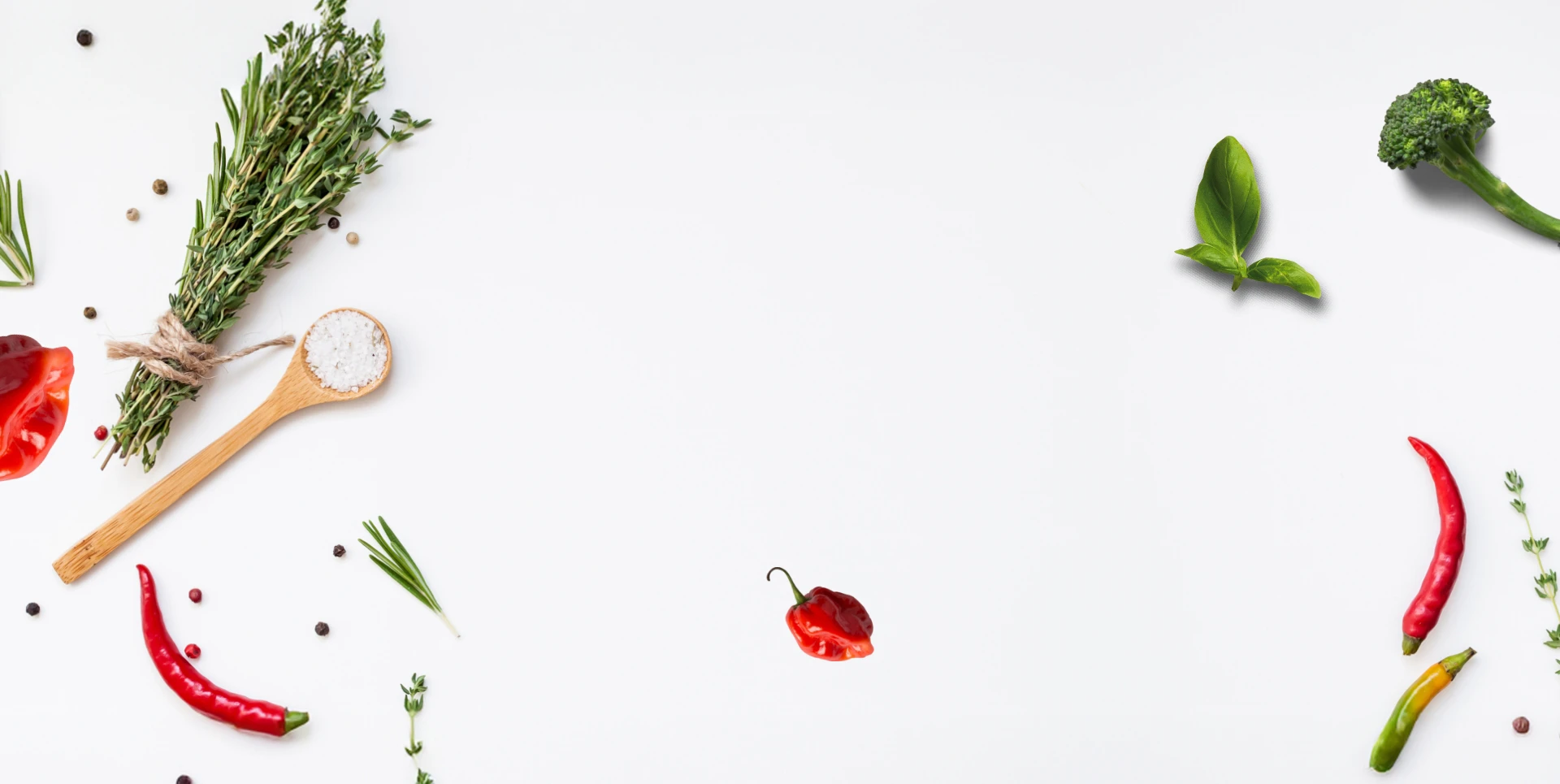 Výběr z programů